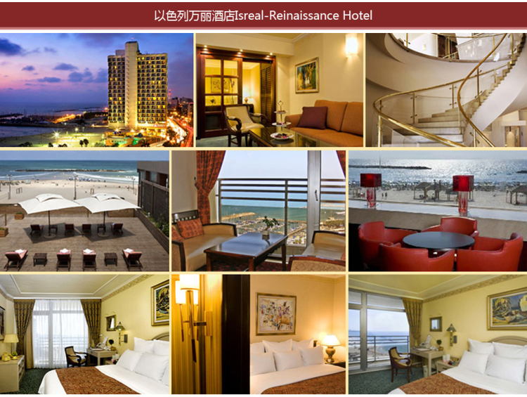 فندق Isreal-Reinaissance